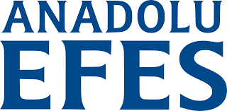 EFES English Logo